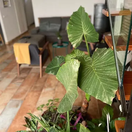 Laindustria Habitación en casa particular Palamós