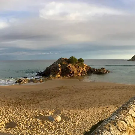 Laindustria Palamós