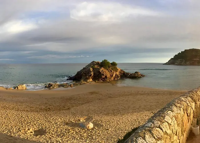 Laindustria Palamós